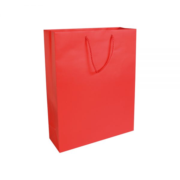 Shopper carta lam.26x35x11cm opaco - immagine 4